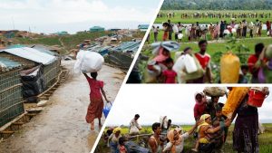 Rohingya Crisis Research, Education, Advocacy